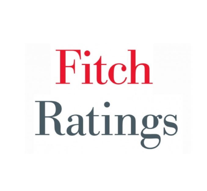 Fitch Rating logo Fitch Rating logo