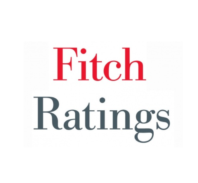 Fitch Rating logo