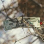 Why Credit Standards Matter (Second of a Series)