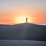 A Year in Review (Last of a Series)