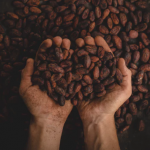 Stat of the Week: Cocoa Futures