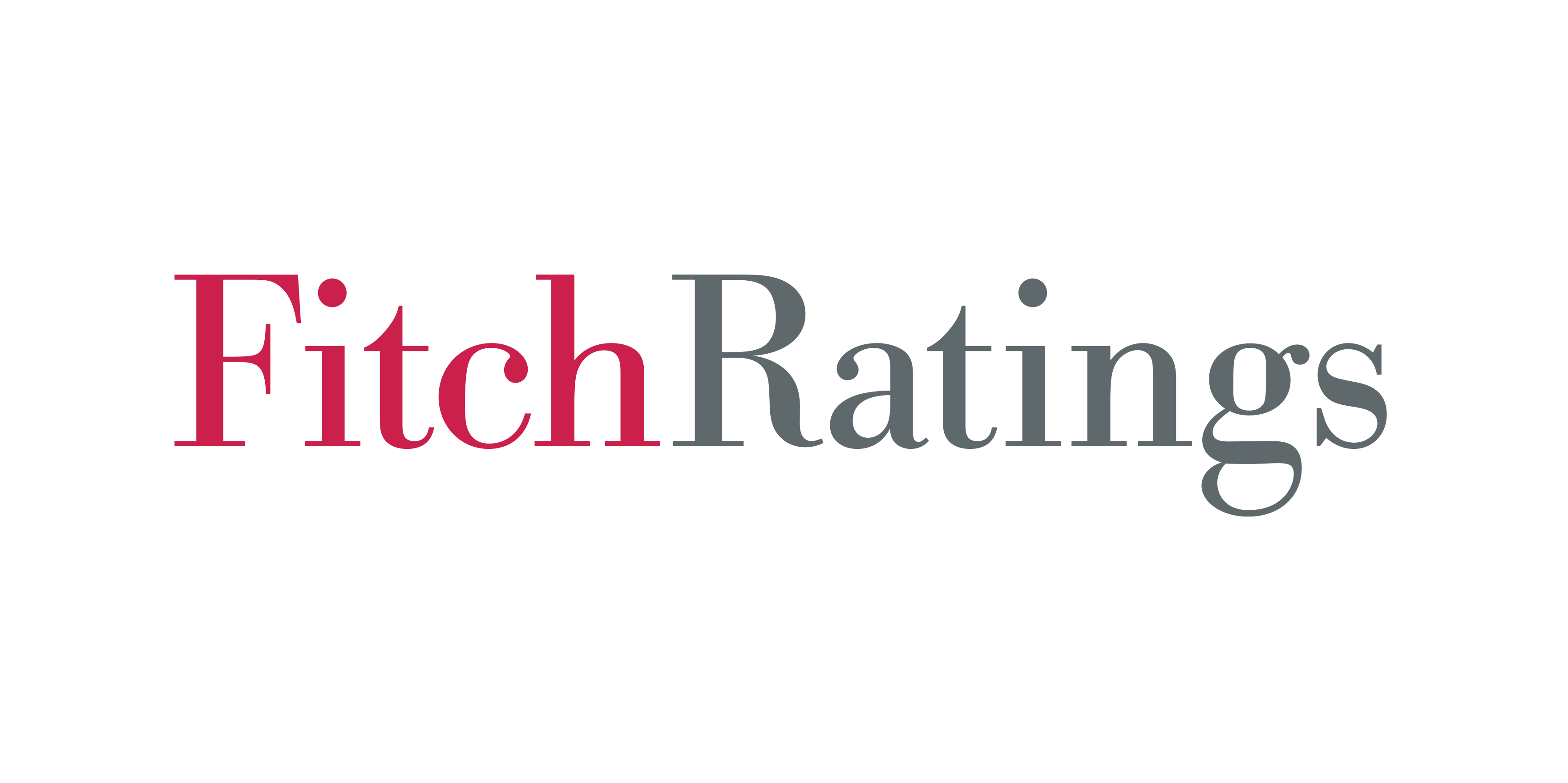 FitchRatings Logo