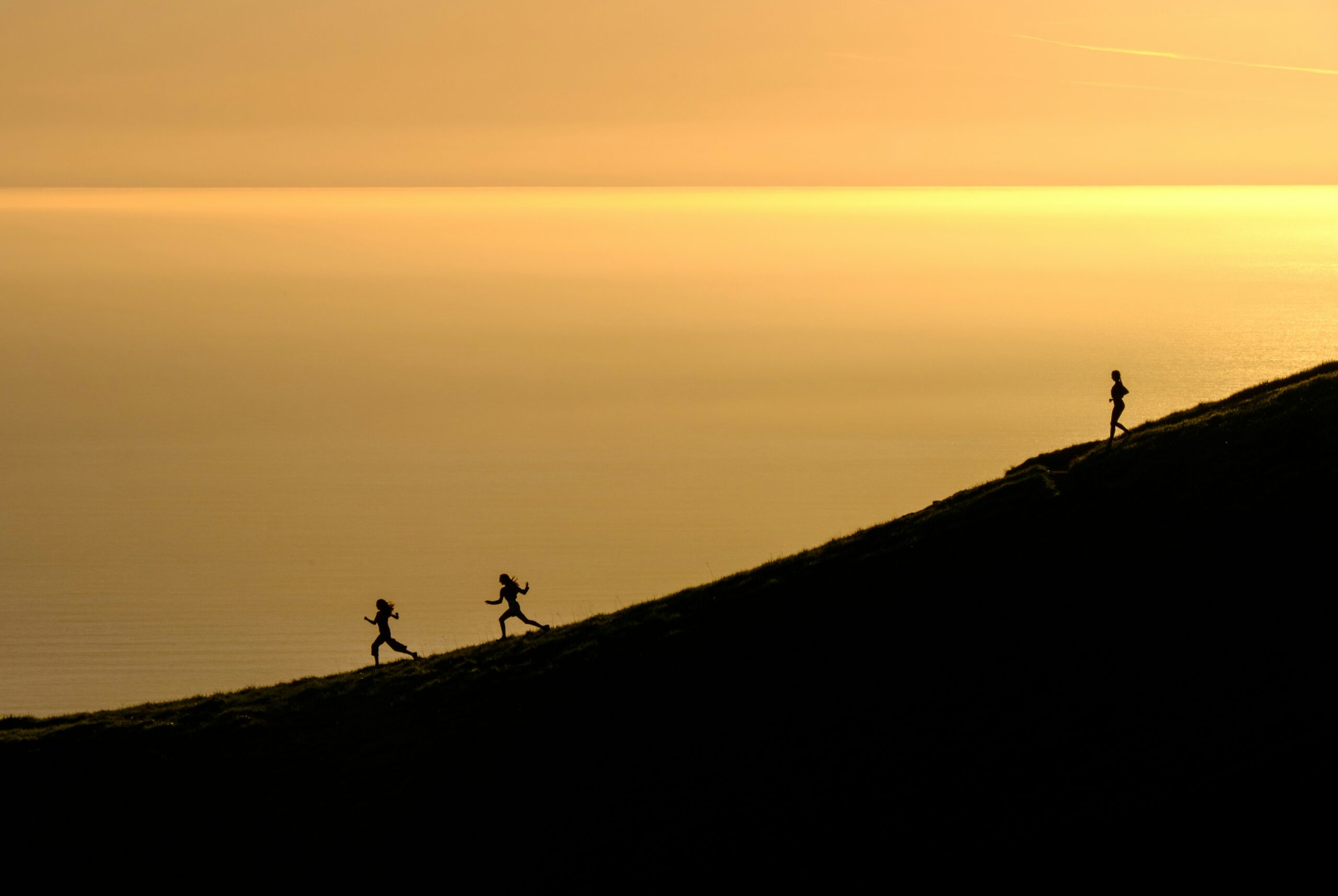 todd-diemer-ckfkPwCEMNs-unsplash-scaled image