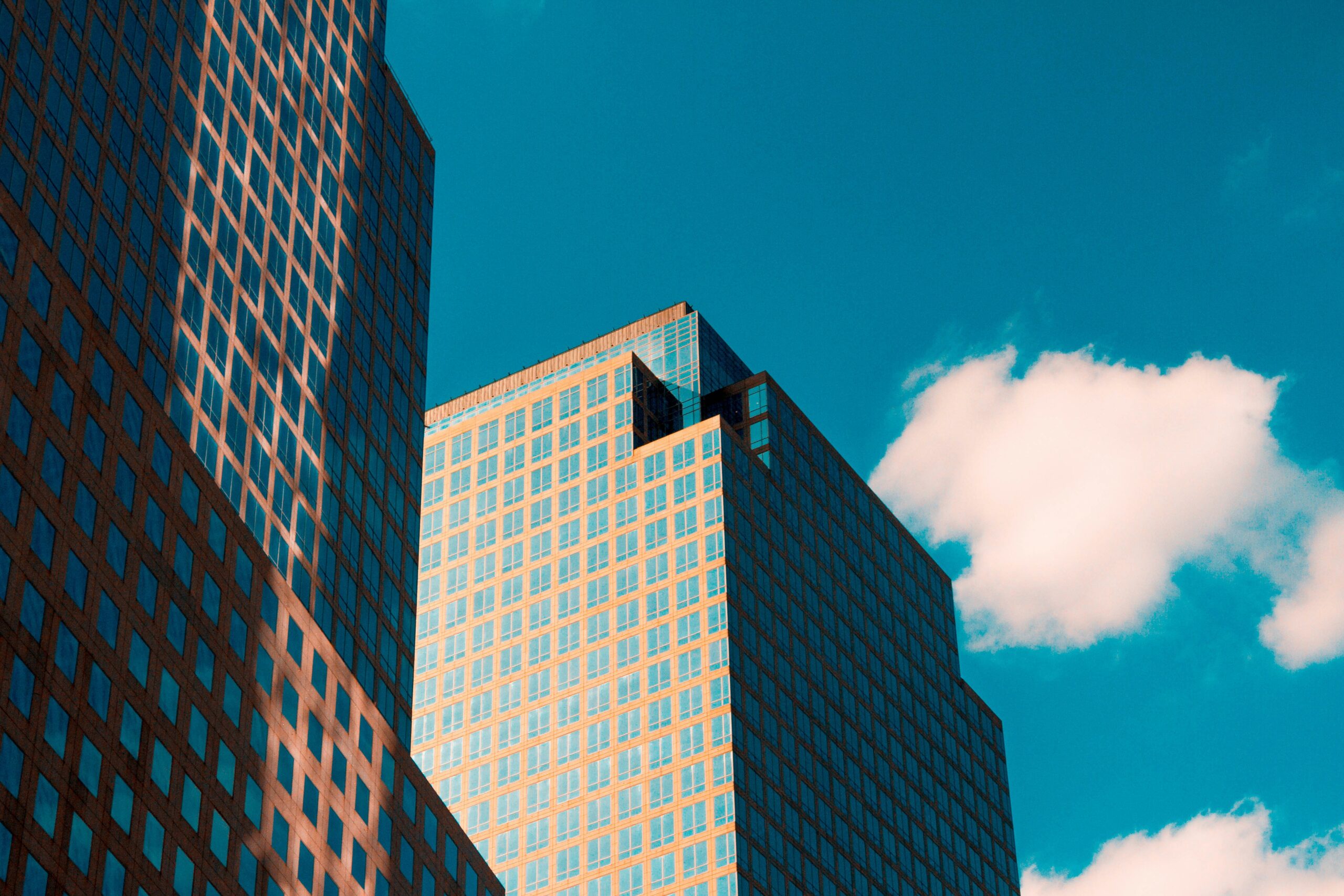 paulo-silva-ST2TQpRiRY8-unsplash-scaled image