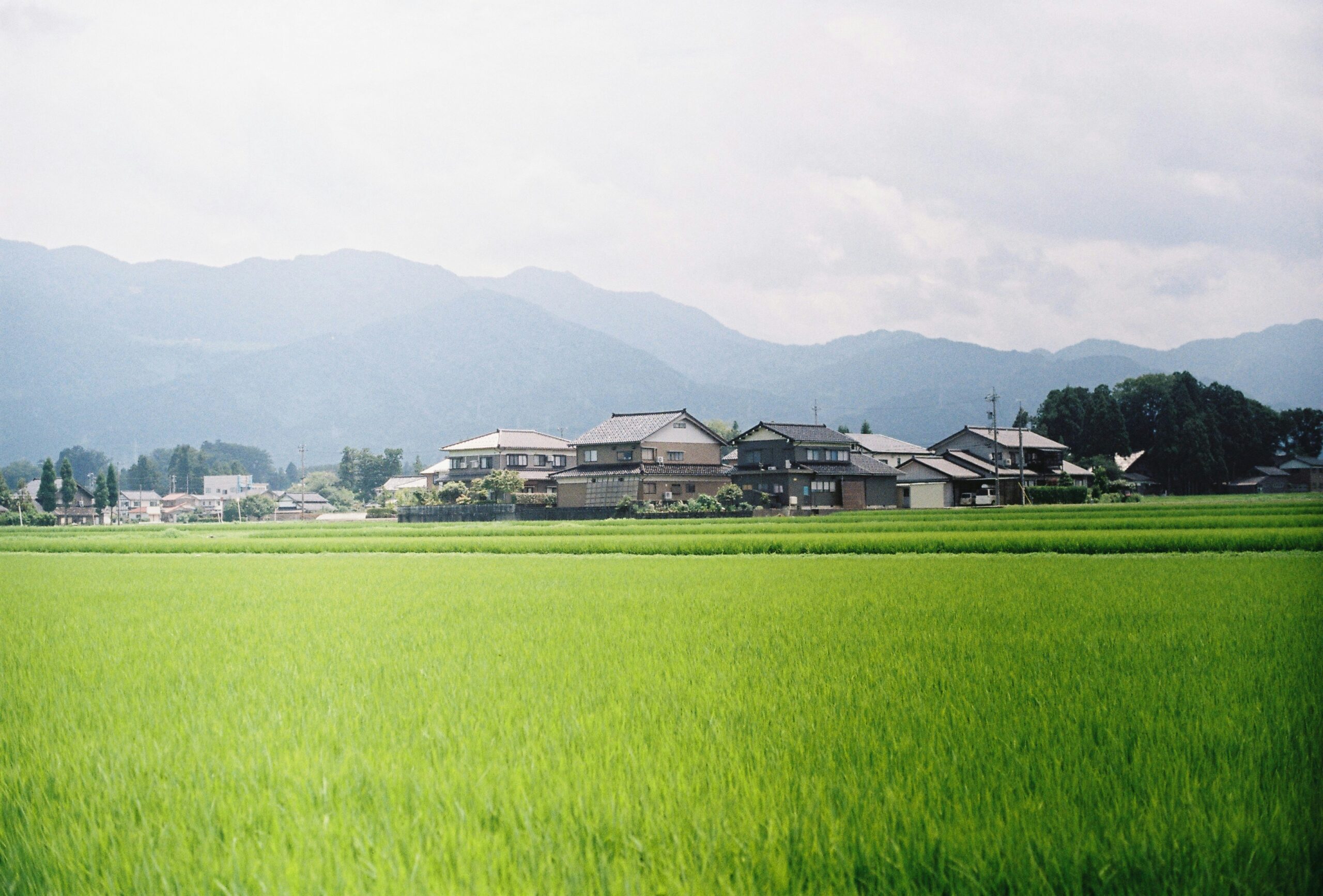 yada-pongsirirushakun-Nvj-O5x0R80-unsplash