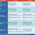 Middle Market Deal Terms at a Glance - June 2025