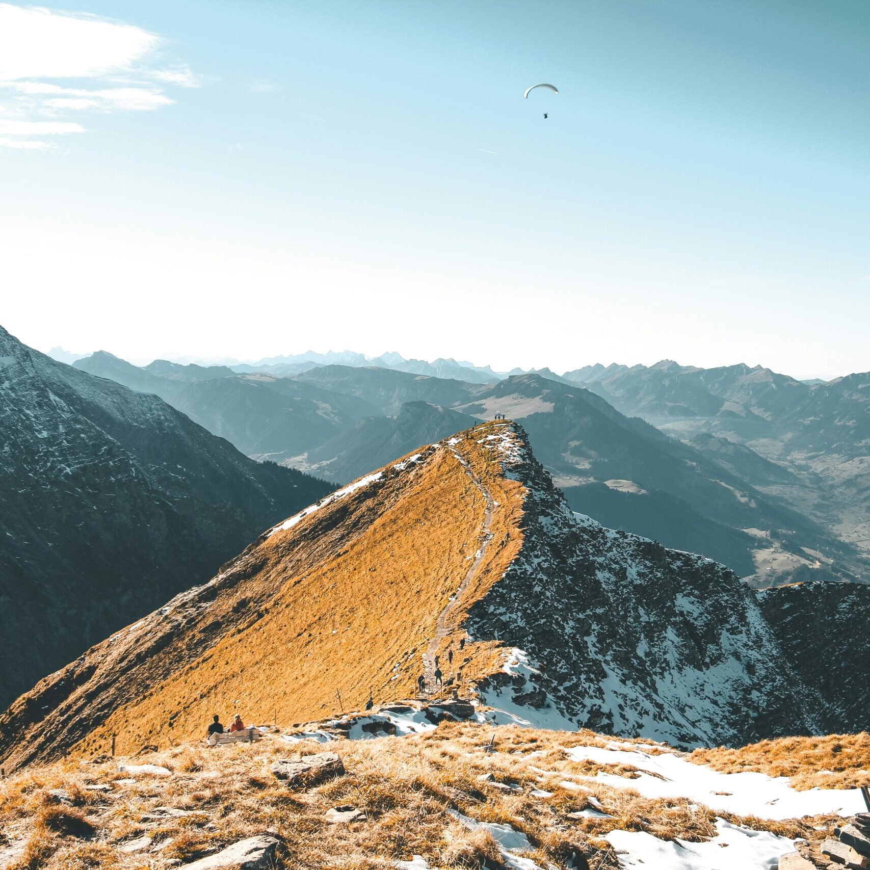 leandra-niederhauser-PvP2AksB744-unsplash