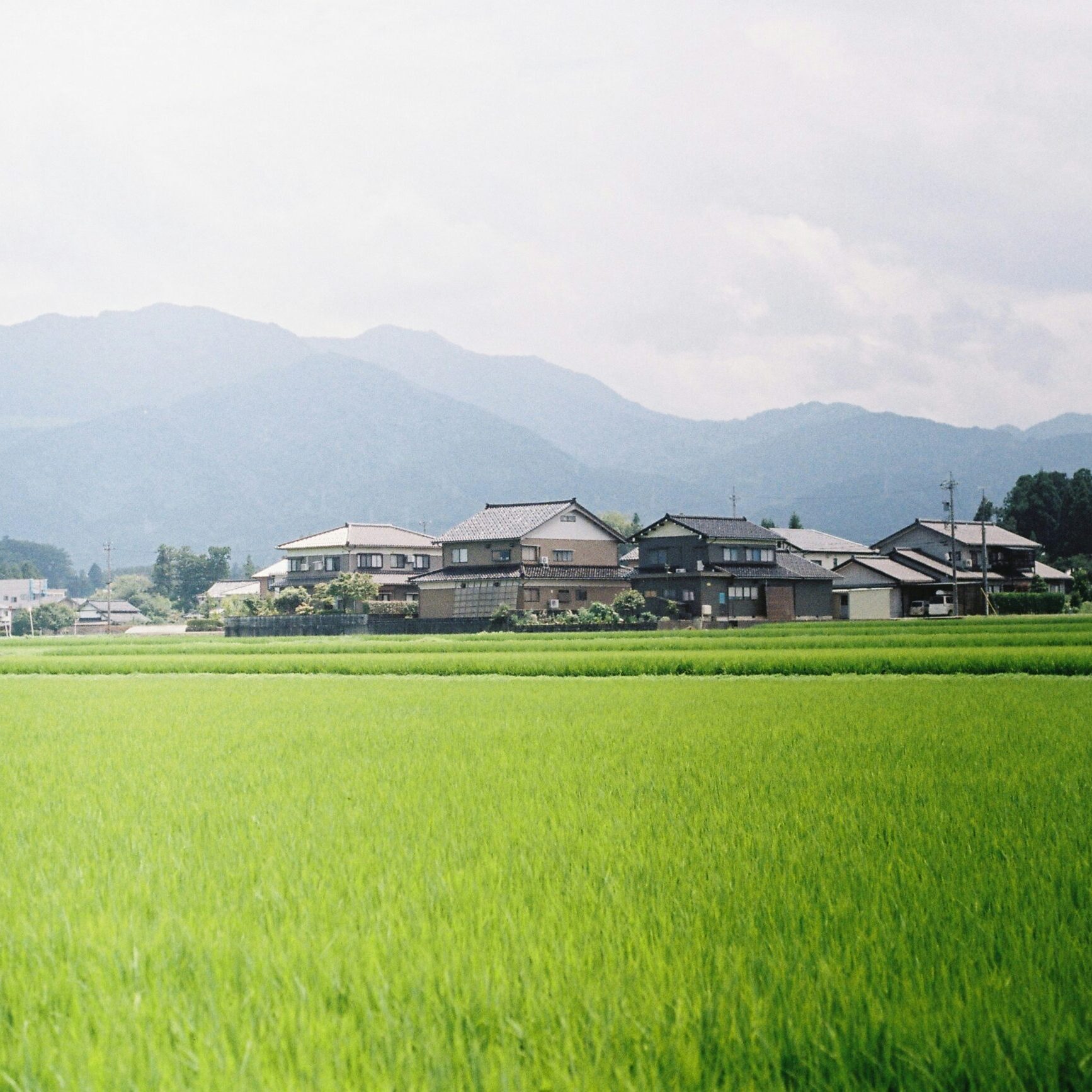 yada-pongsirirushakun-Nvj-O5x0R80-unsplash